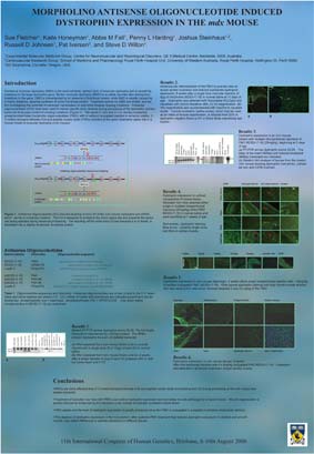 Scientific poster on foldable material